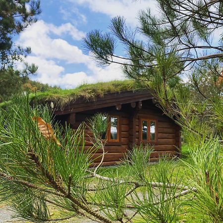 Log Home Village ウルバーストン エクステリア 写真