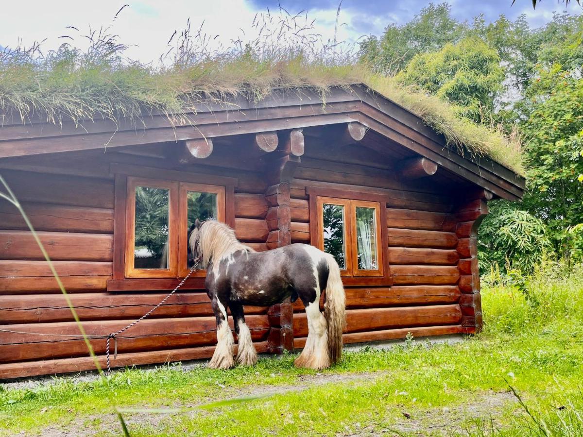 Log Home Village ウルバーストン エクステリア 写真